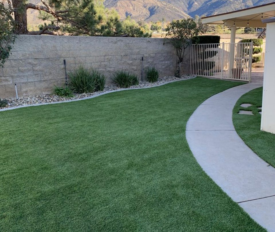 Pet friendly synthetic turf in the desert