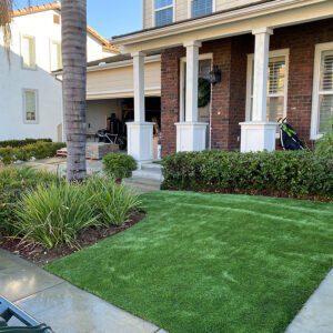 Synthetic Turf Front Yard