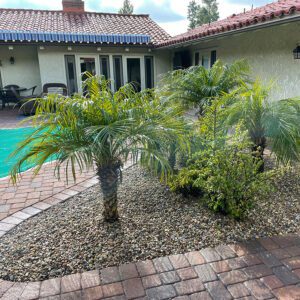 Synthetic Turf with Palms