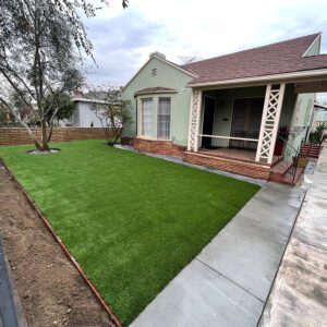 Synthetic Turf With Tree