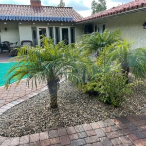 Synthetic Vision Hardscape Turf with Palms